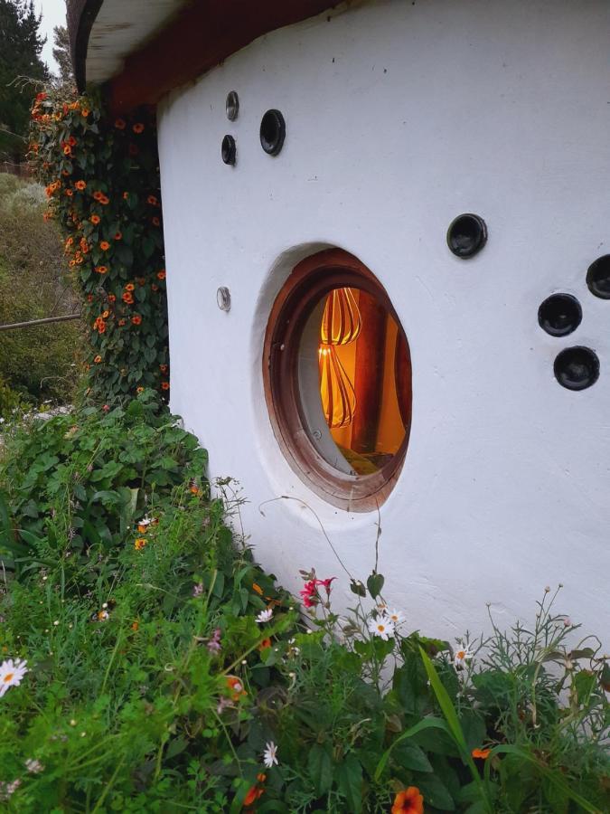 מוסל ביי Half Moon Hollow Eco Cottage מראה חיצוני תמונה